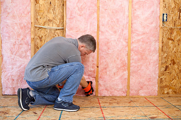 Best Soundproof Insulation  in Hales Corners, WI